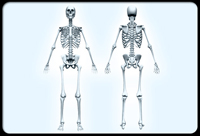 Display Image