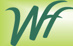 Display Image