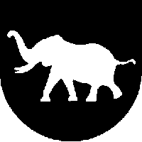 Display Image