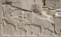 Display Image