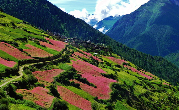 Nepal biodiversity strategy 2017