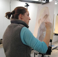 Display Image