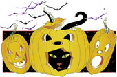 pumpkin.jpg