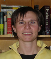 Display Image