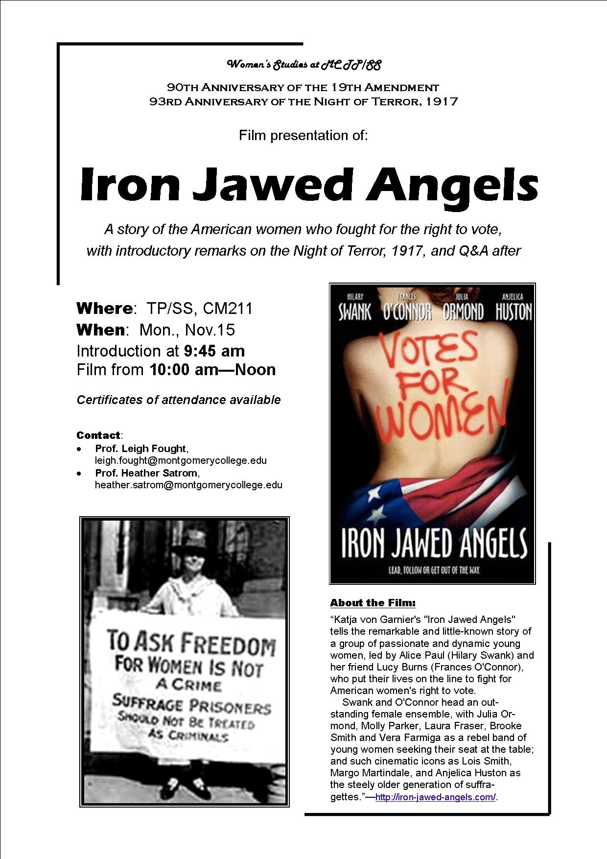 Iron Jawed Angels Essay