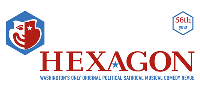 Hexagon's Satirical Political Comedy to Benefit Wounded Warriors
