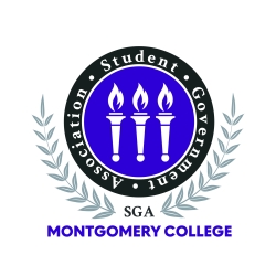 Join the Student Government Association (SGA)