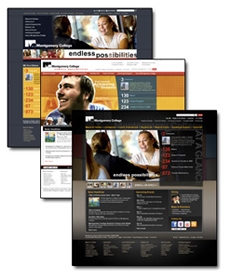 Help Select a Design for the MC Web Site